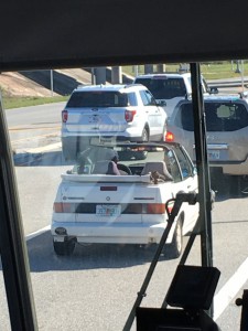 IMG_3547.JPG