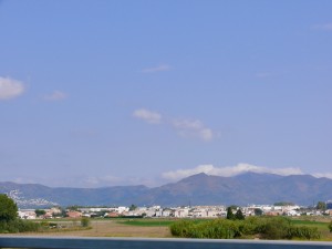 P1040810.jpg