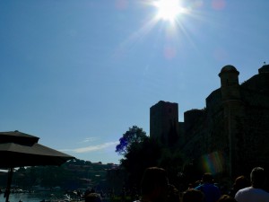 P1050035.jpg
