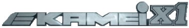 x1_logo.jpg