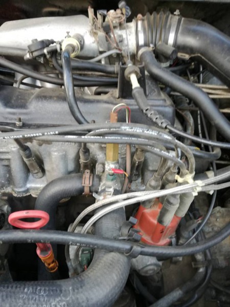 b2a5eaa96996bf855e67e351a6bef70d.jpg