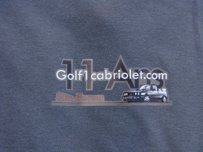 DSC06078.jpg (126.63 Kio) Vu 3505 fois le devant en gris