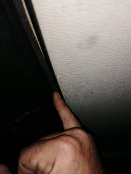 IMG_20201007_193538.jpg