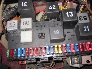 IMG_2575.jpg