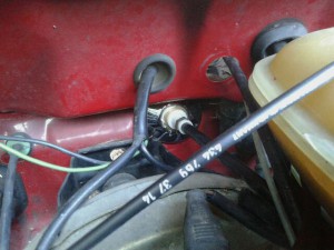 la &quot;rosace&quot;