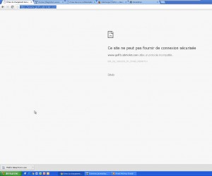 Site innacessible depuis Chrome sous Windows XP