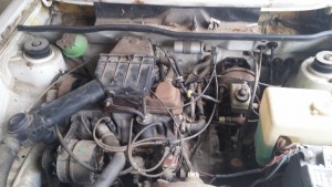 20161002_154345.jpg