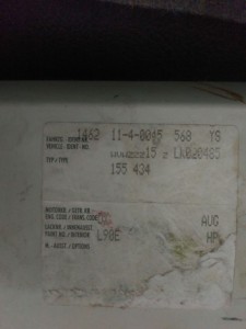 IMAG04251.jpg