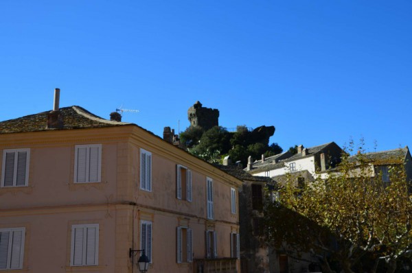564165dsc040801.jpg
