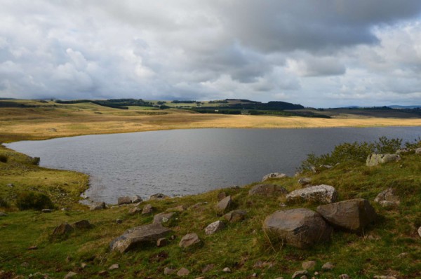 189796dsc0578.jpg