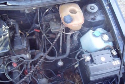 DSCF9380.JPG