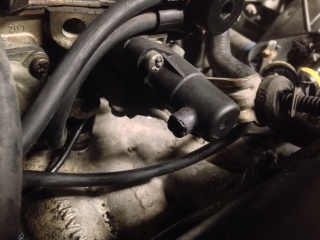 755172image259.jpg