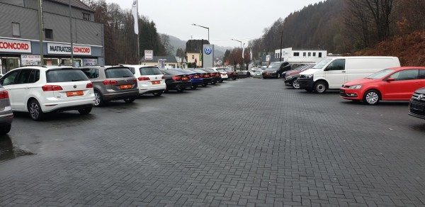 20190305_101642.jpg