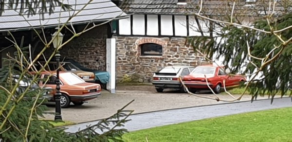 20190305_124135.jpg