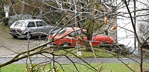 20190305_124102.jpg