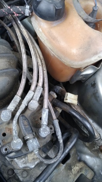 P_20190510_150207_vHDR_Auto.jpg