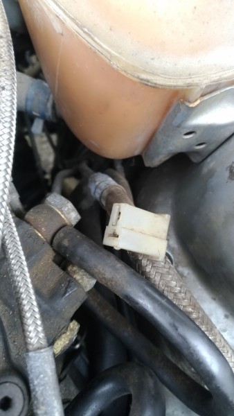 P_20190510_150210_vHDR_Auto.jpg