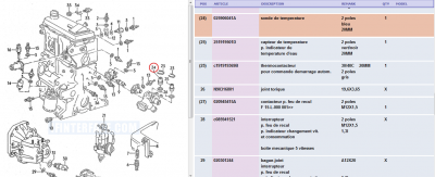 Sonde température <br />2 pôles bleue