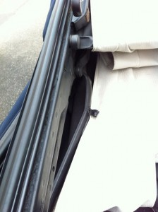 IMG_3726_2.jpg